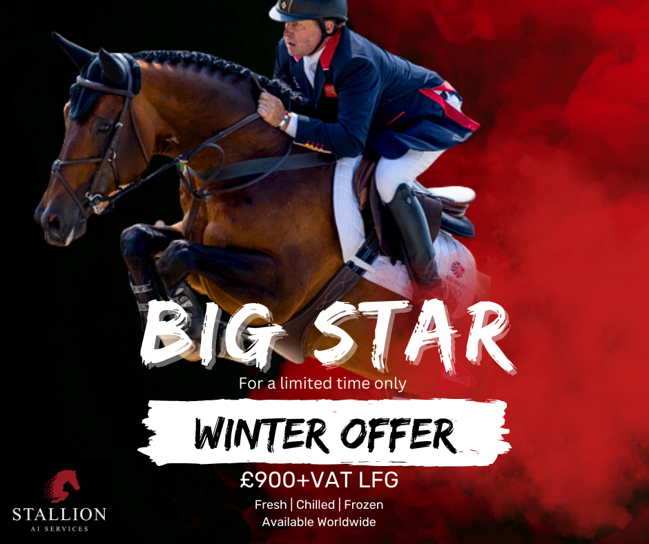Big Star Stallion Big Star Stallion